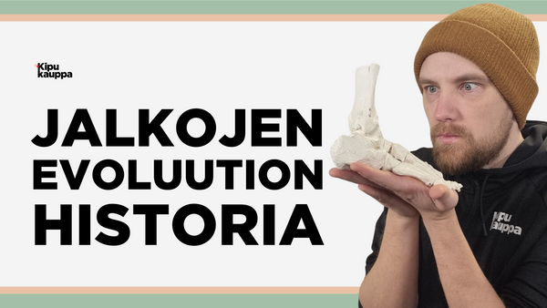 Jalkojen evoluution historia
